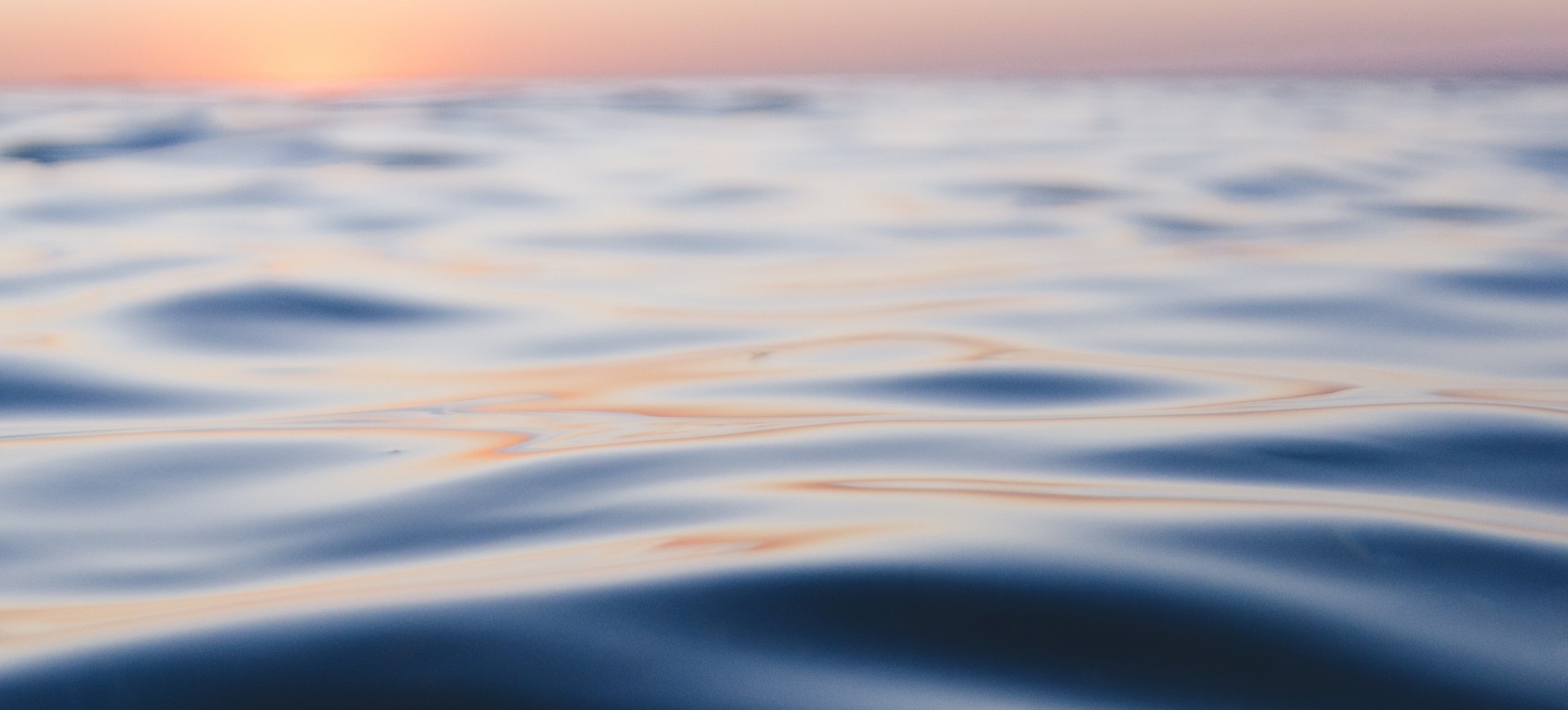 Poems for Falling Into Fullness Feed Your Vow