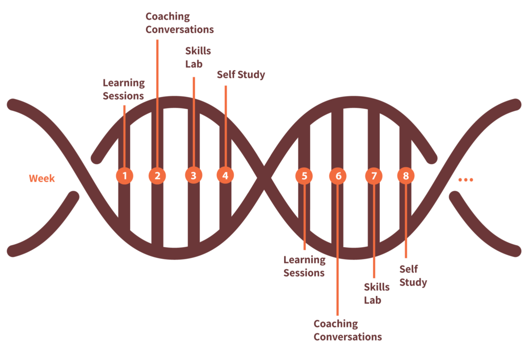 Agility in Leadership DNA Course Structure Graphic, Ten Directions